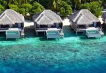 Umbrella Company or Limited Company